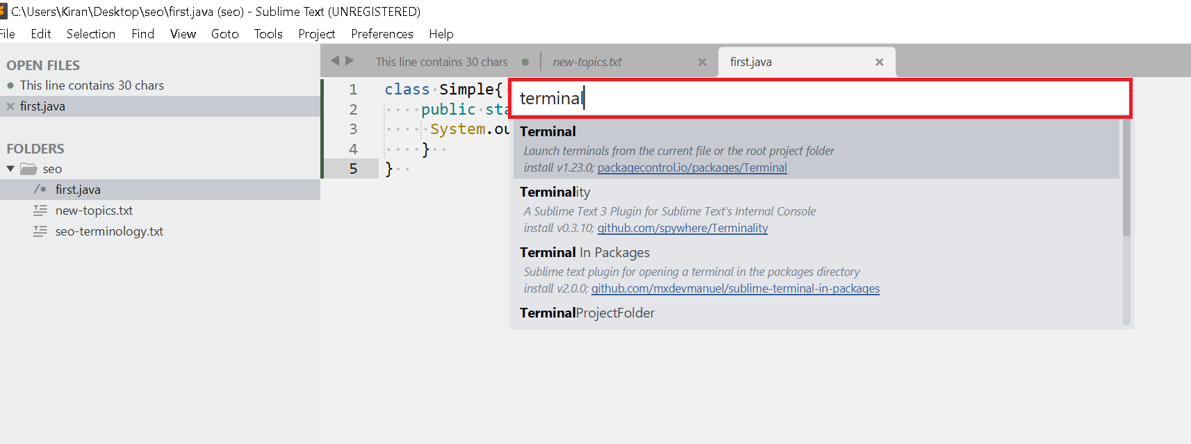 Sublime text install terminal package