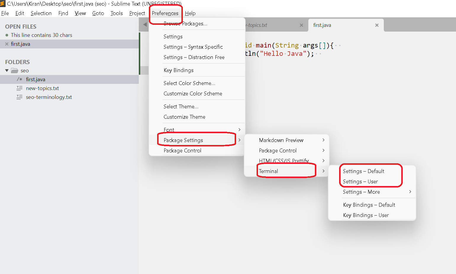 Sublime text terminal settings